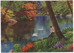 Restful Waters swans woman
